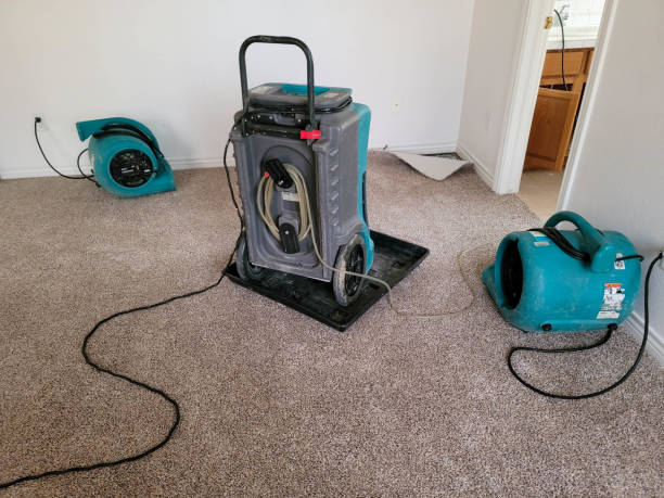 Best Residential water damage restoration  in James City, NC