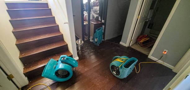 Best Fire Damage Restoration  in James City, NC