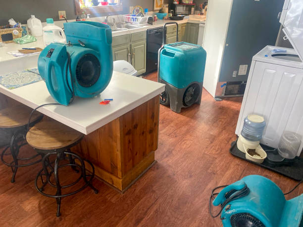  James City, NC Water damage restoration Pros