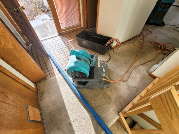Best Sewage cleanup and water damage restoration  in James City, NC