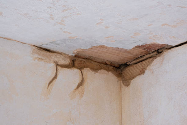 James City, NC Water damage restoration Company