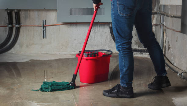 Best Water damage cleanup near me  in James City, NC