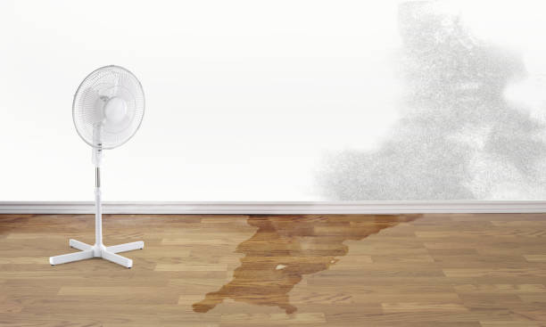 Best Commercial water damage restoration  in James City, NC