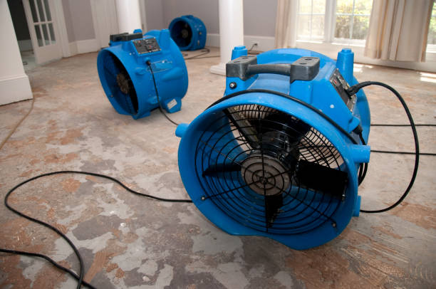 Best 24/7 water damage repair  in James City, NC