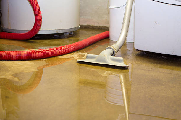 Best Ceiling water damage repair  in James City, NC