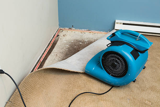 Best Emergency water damage restoration  in James City, NC